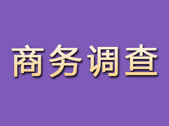 交口商务调查